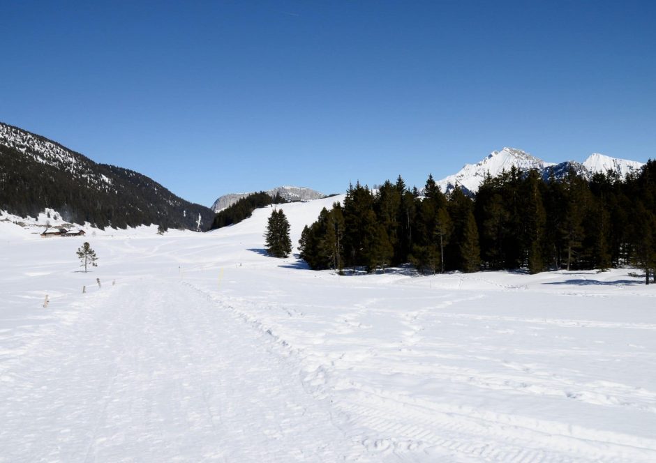 seminaire montagne Savoie (3)