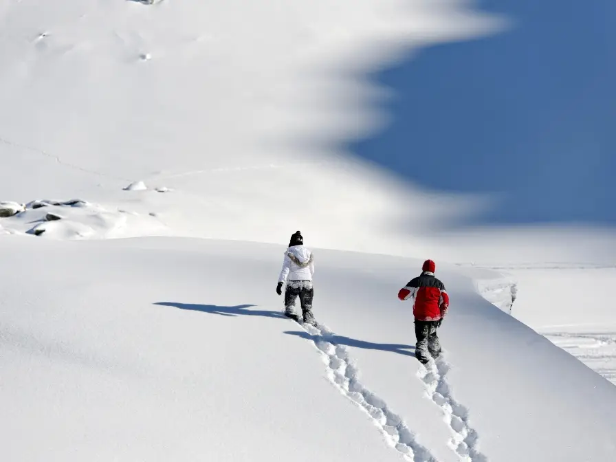 Balade Chamonix