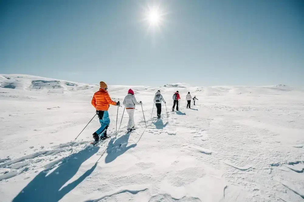 Seminaire-Montagne-Megeve-Team-building
