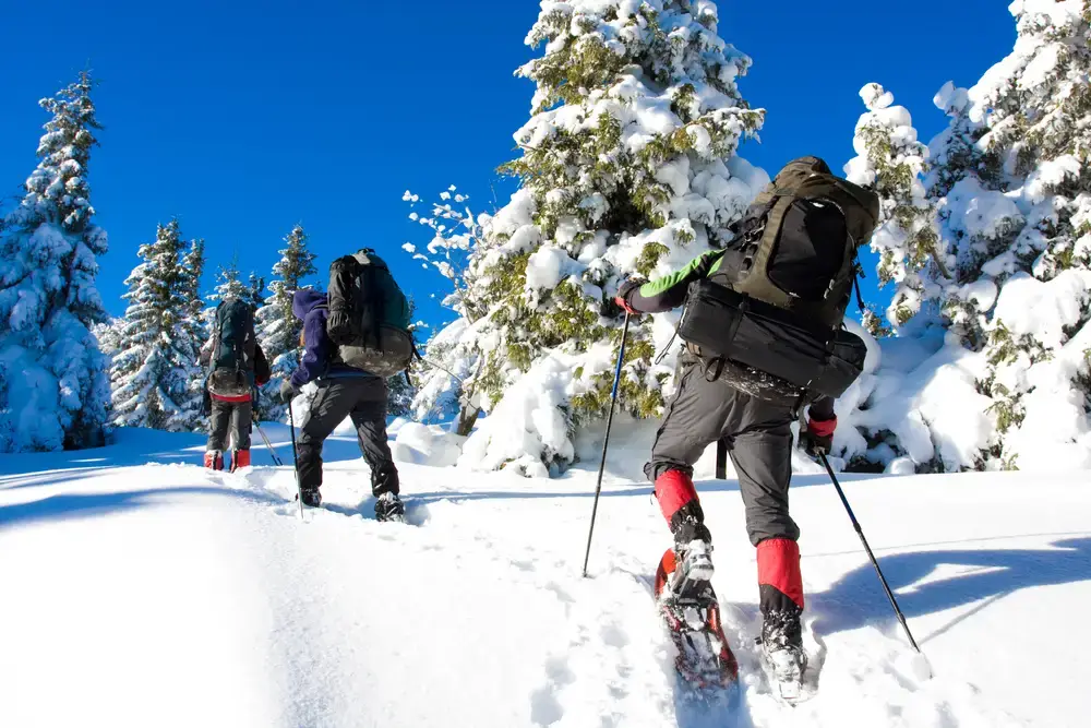 Seminaire-Montagne-Tignes-Team-building