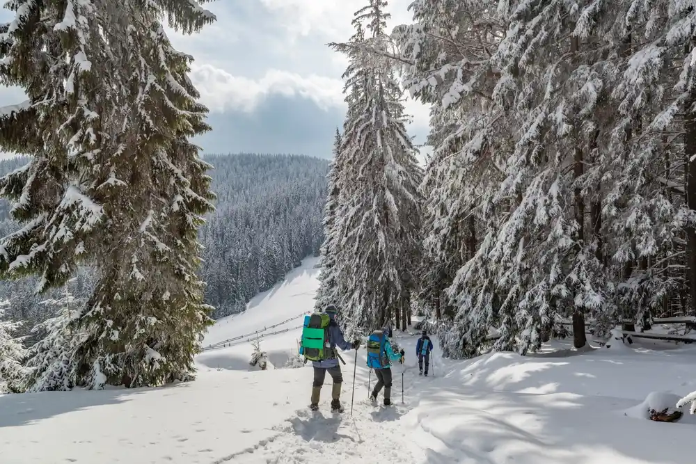Seminaire-Montagne-Valmorel-Team-building