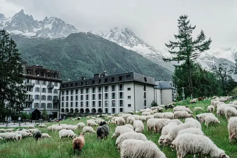 Seminaire-Montagne-Chamonix-Hotel-La-Folie-Douce