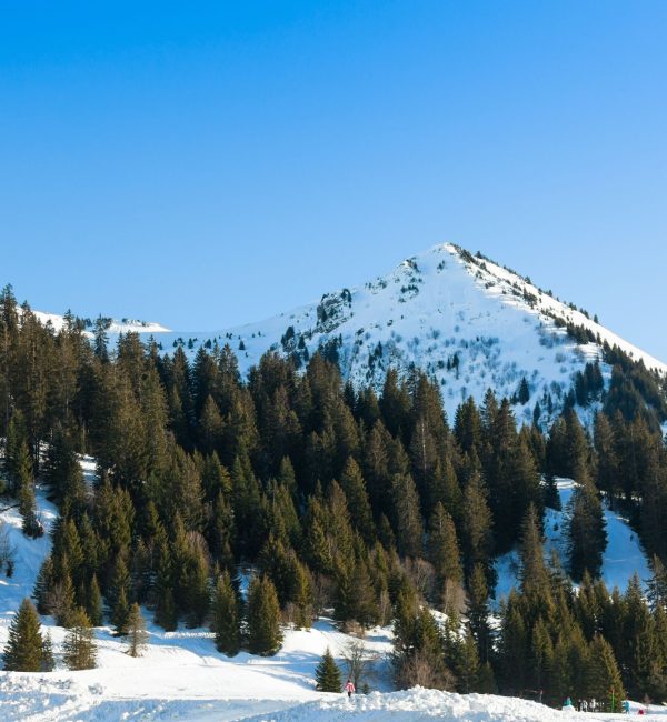 seminaire montagne haute Savoie Megève (9)